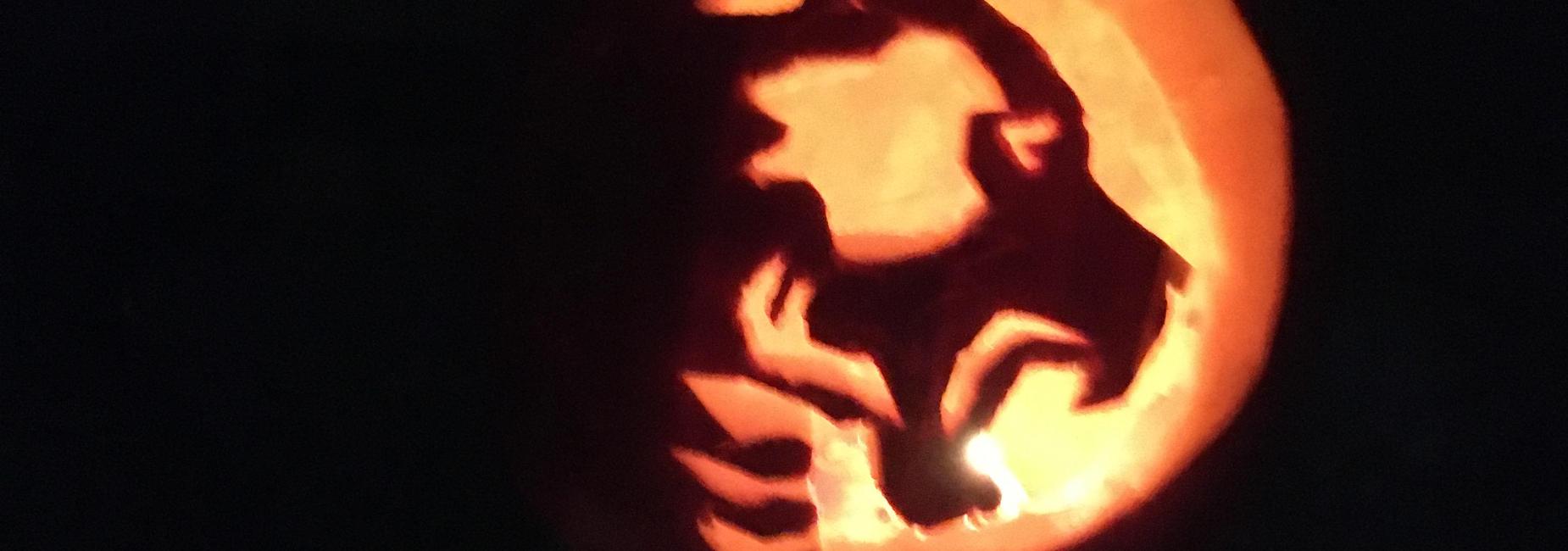 Bruin logo carved into a pumpkin.