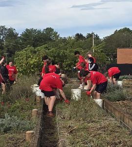 JRDS 8th graders work at Lynchburg Grows.