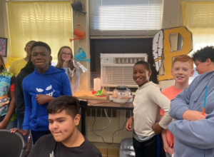 incubators for chickens