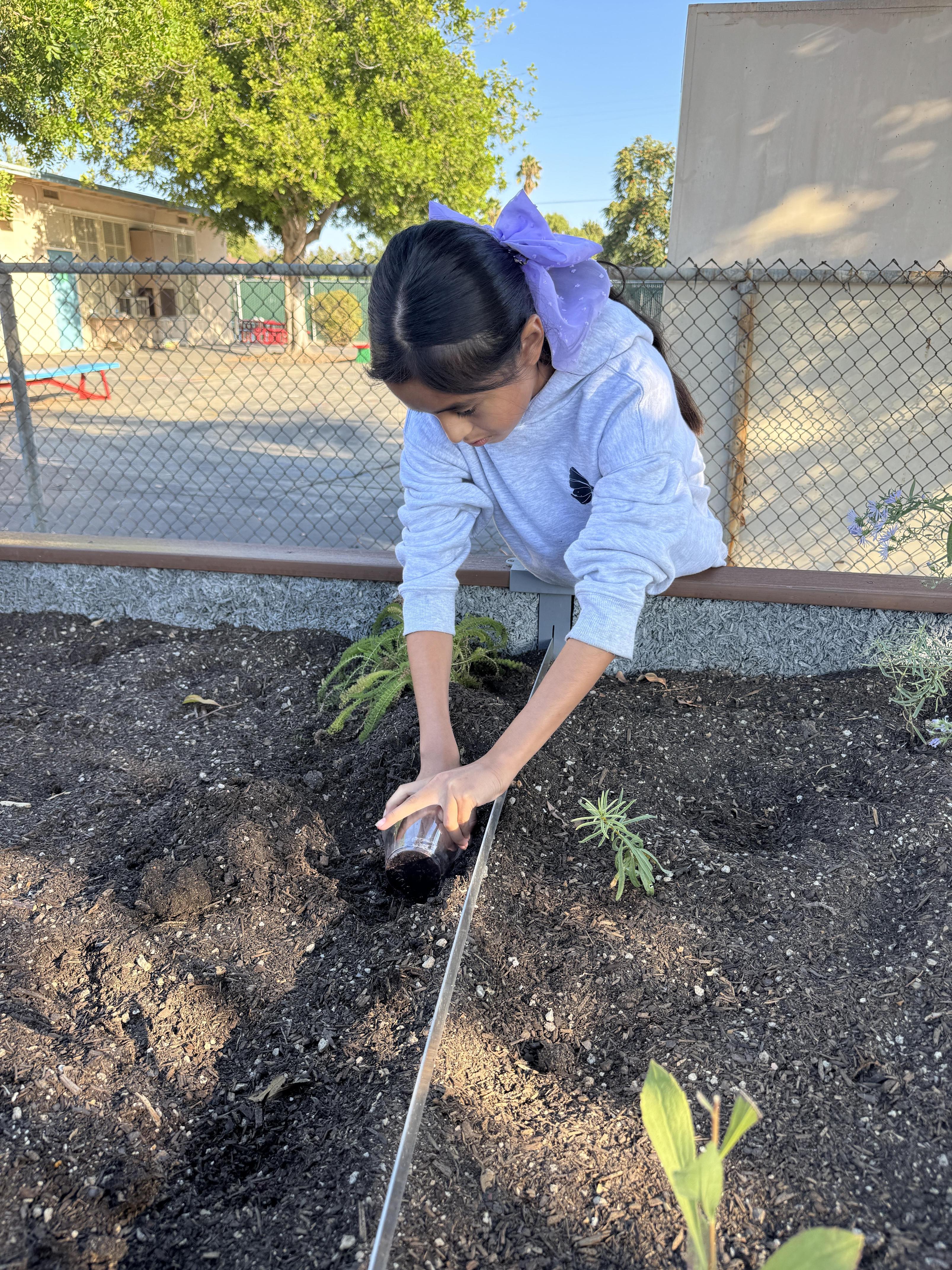 Students working on stewardship project