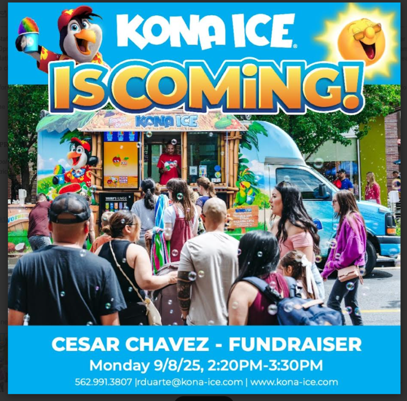 Kona Ice