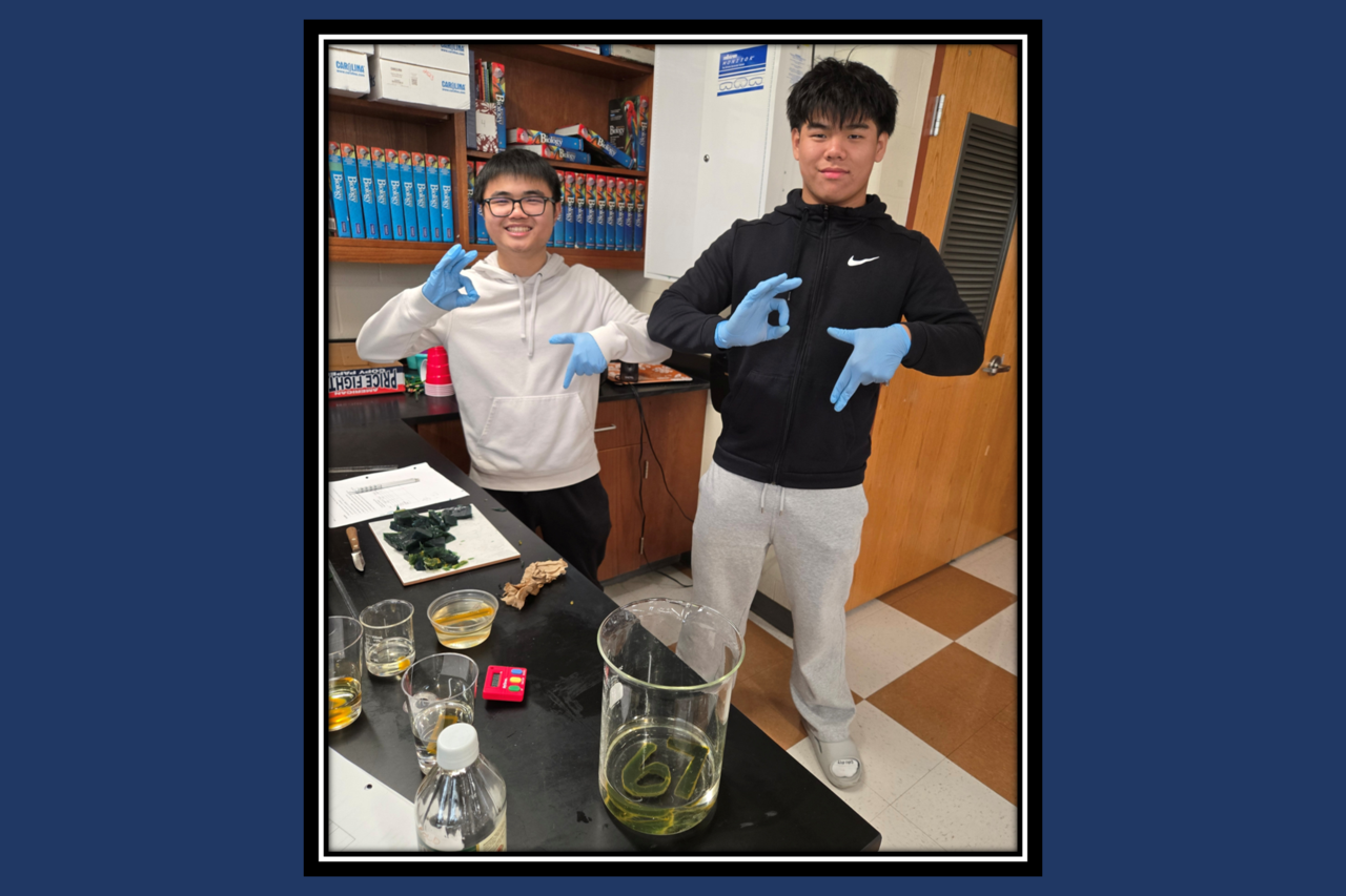 Students study how the surface area to volume ratio impacts permeability of a cell.