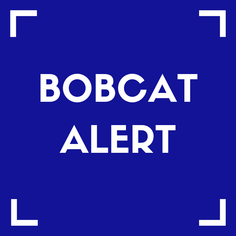 Bobcat Alert Featured Photo