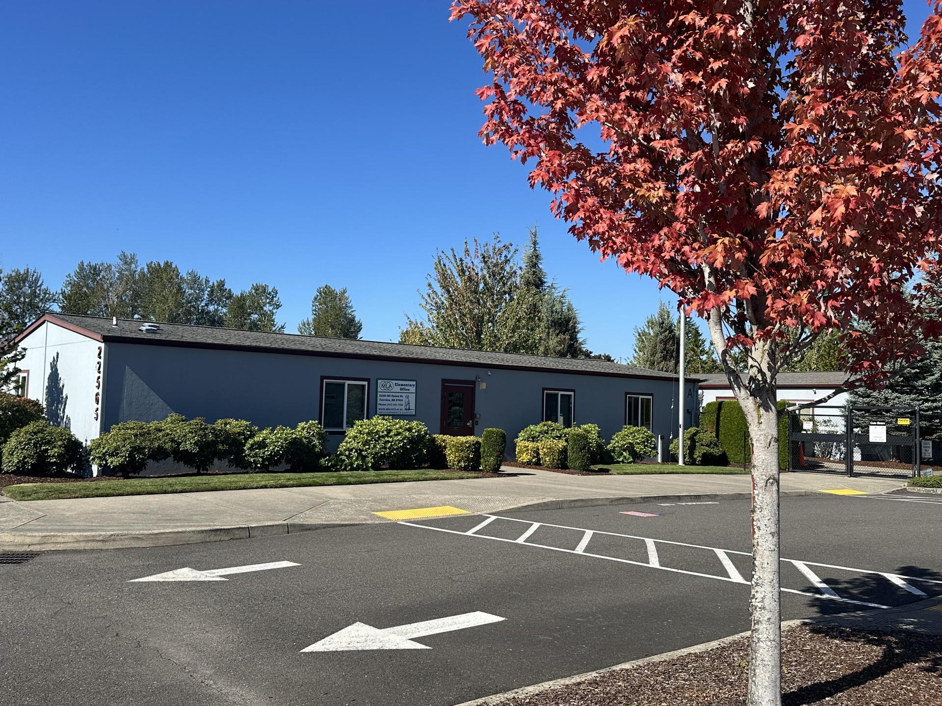 Elementary School