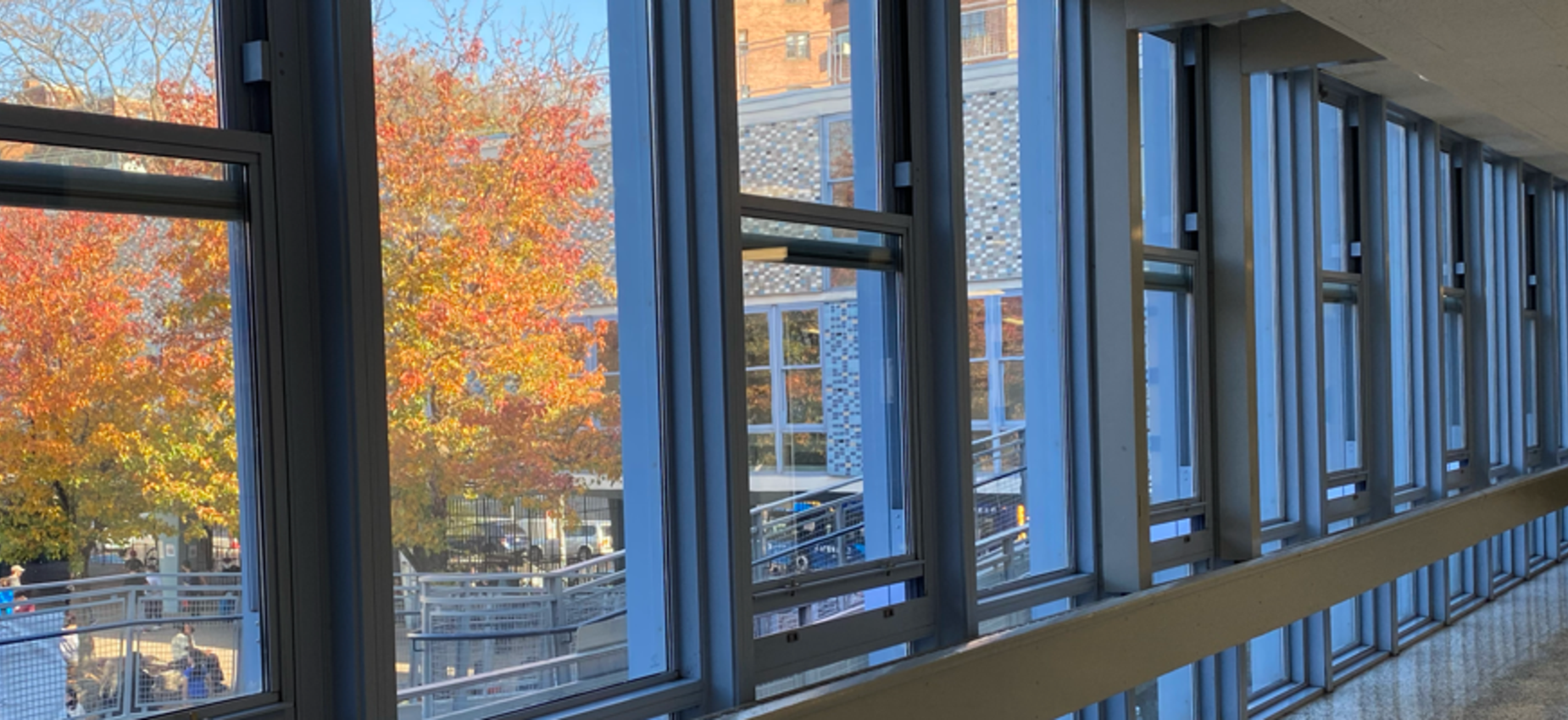 Photo taken inside the Lobby looking into the Courtyard, with trees and leaves changing color to fall.