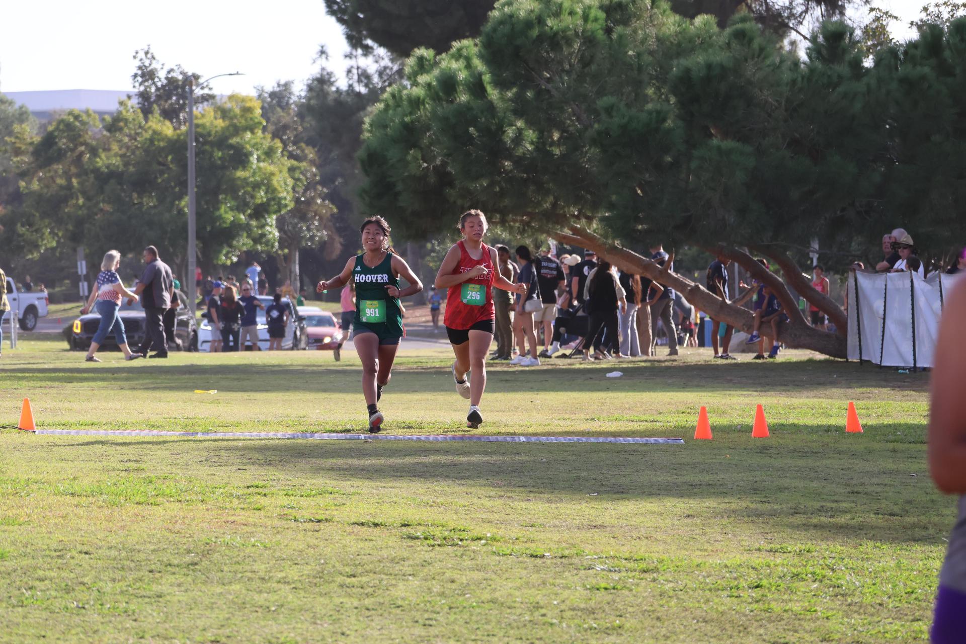 cross country runners in action