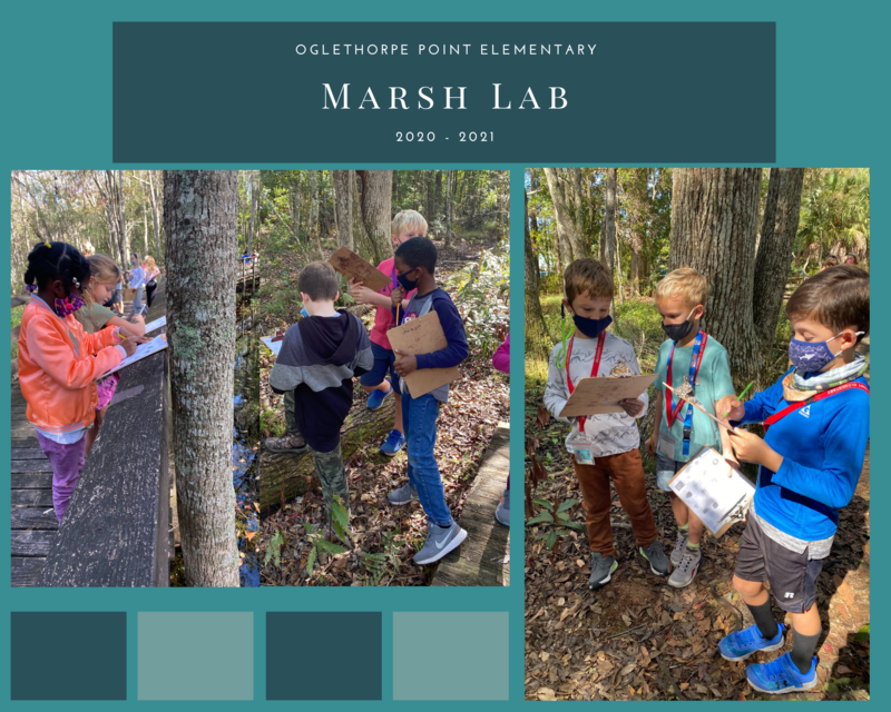 Marsh Lab at OPES Featured Photo