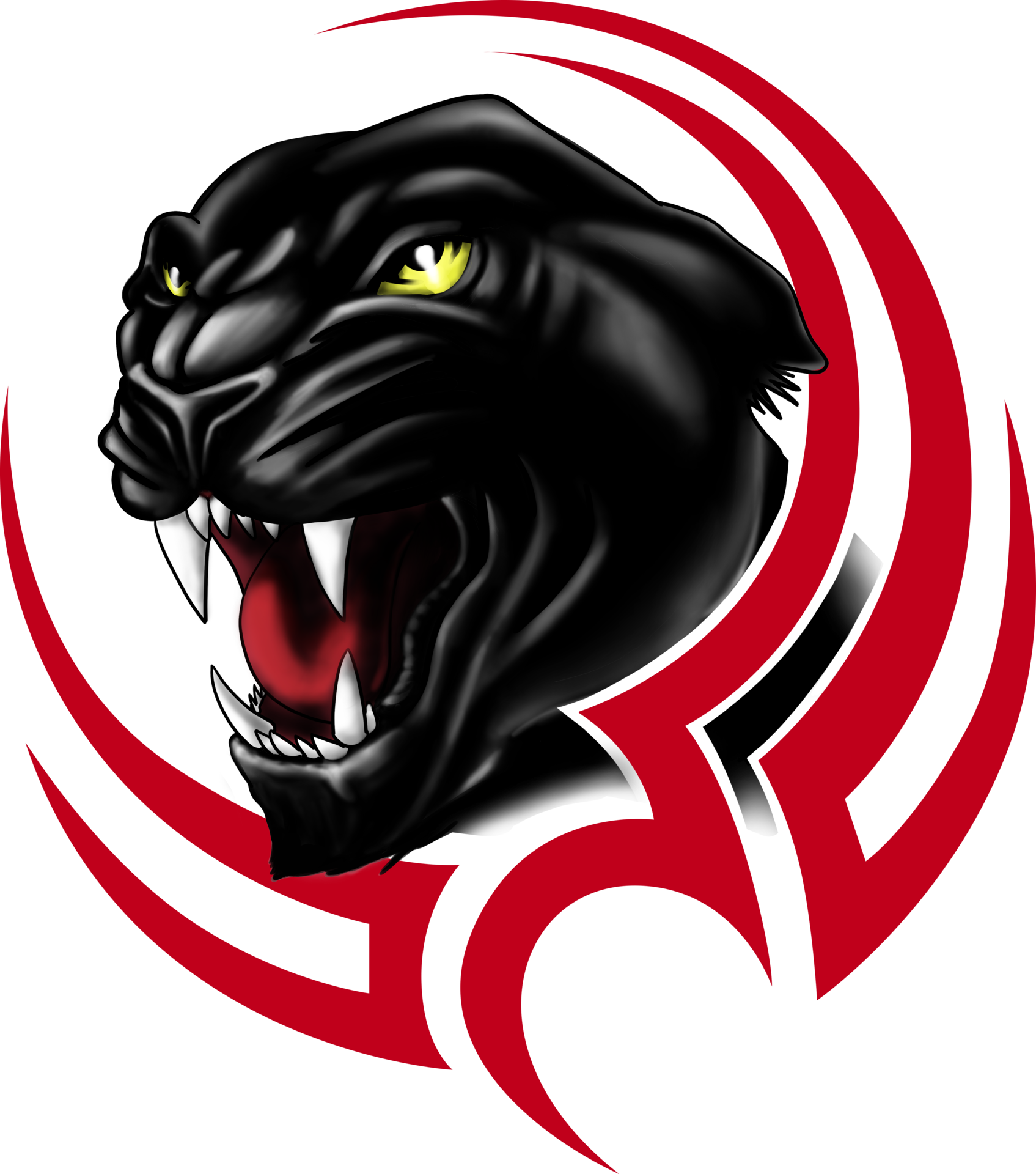 CSMS Panther