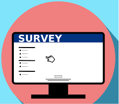 Survey on the computer.