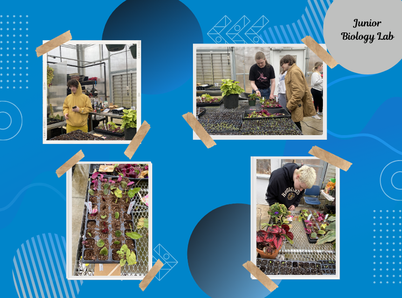 Junior Biology lab