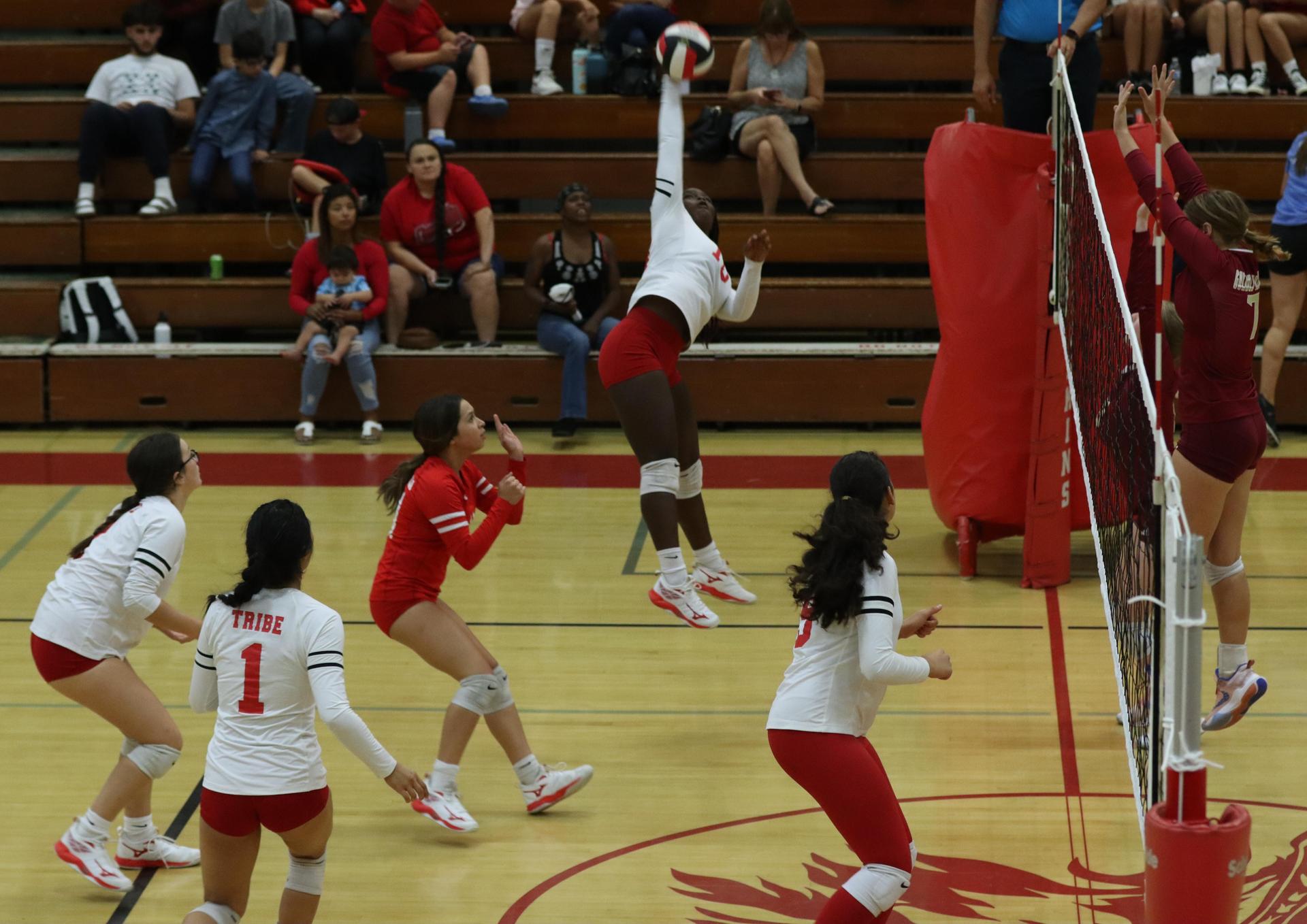 varsity volleyball players in action against golden valley