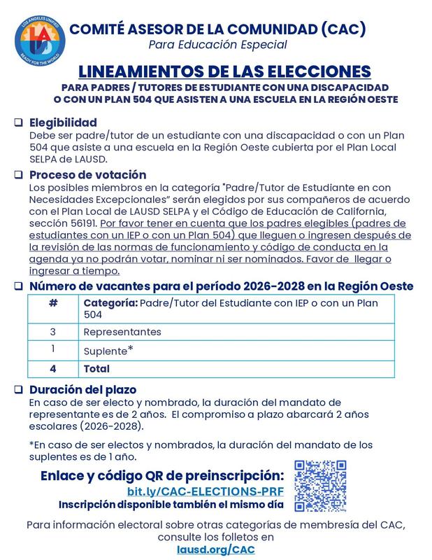 ELECTION GUIDELINES (SPANISH)