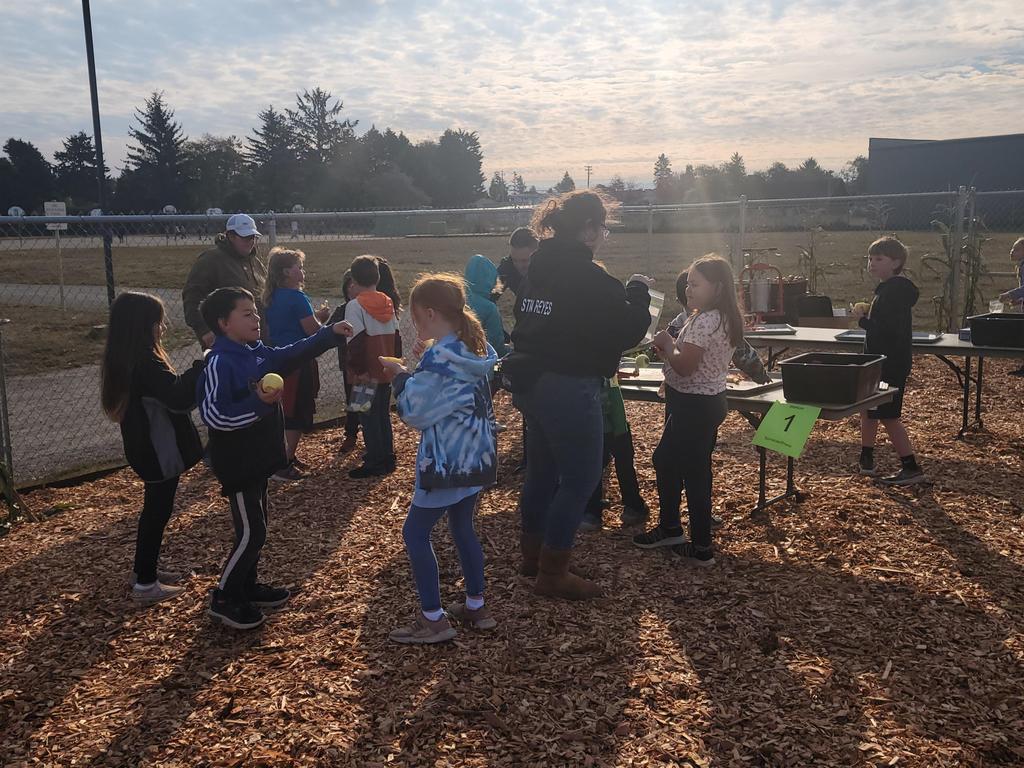 Students having fun in garden