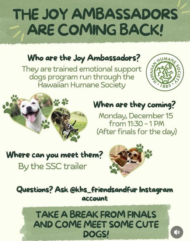 JOY AMBASSADORS ARE BACK! Featured Photo