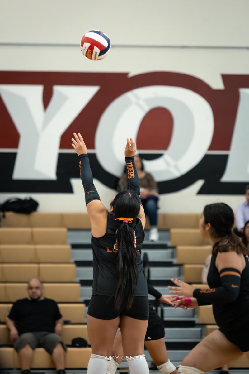 volleyball picture
