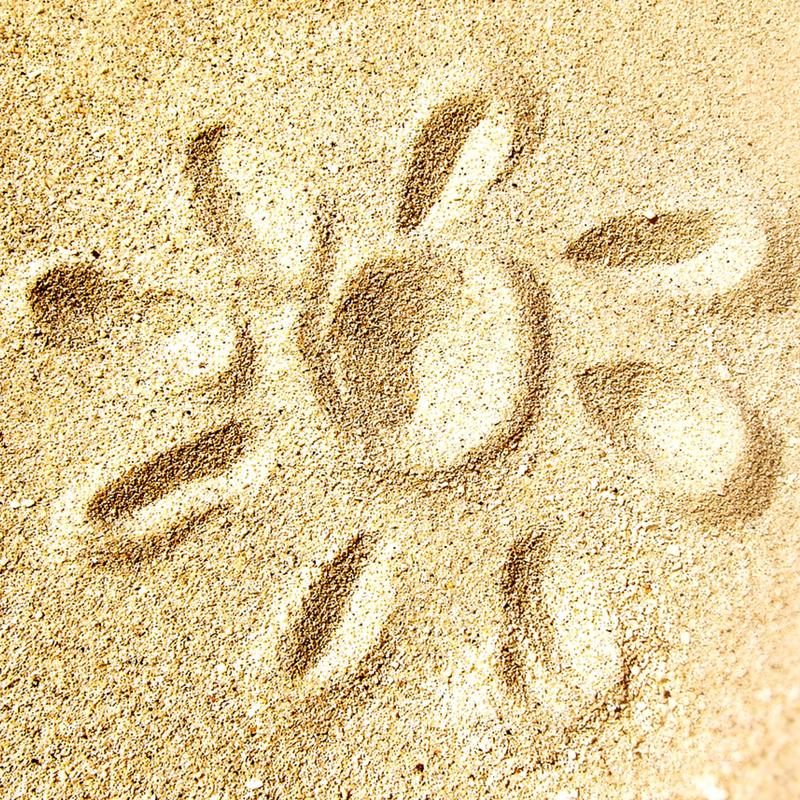 everett-public-school-district