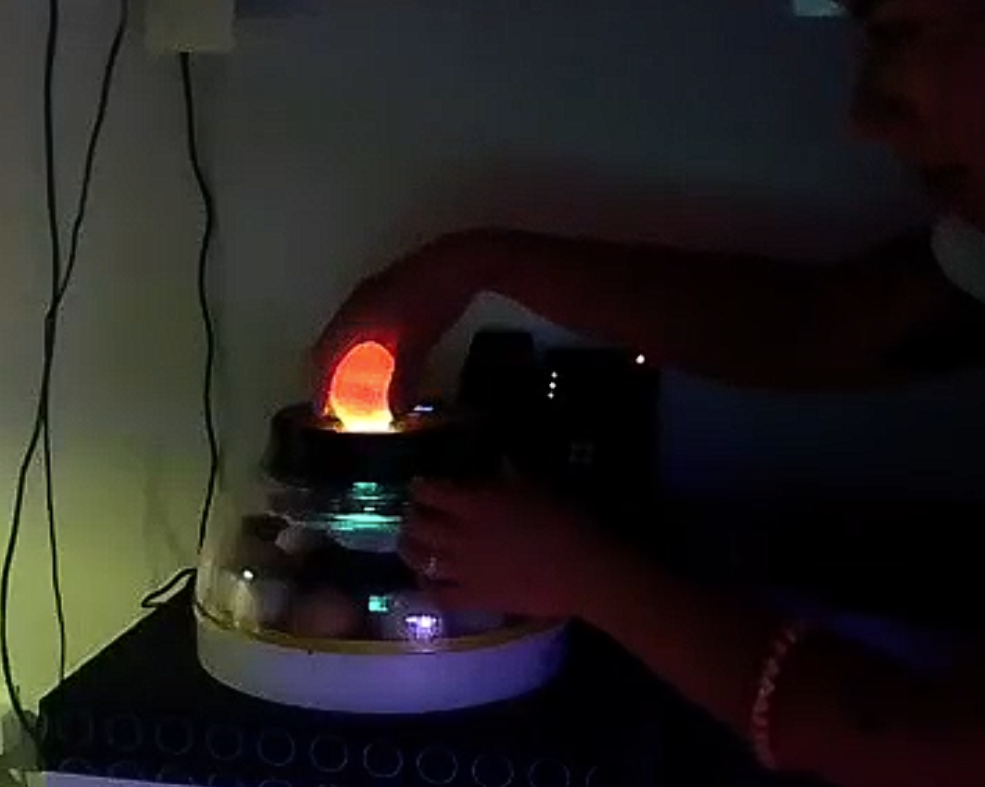 Egg Candling