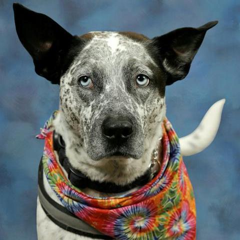 SkyeZimmerscheid's Profile Photo