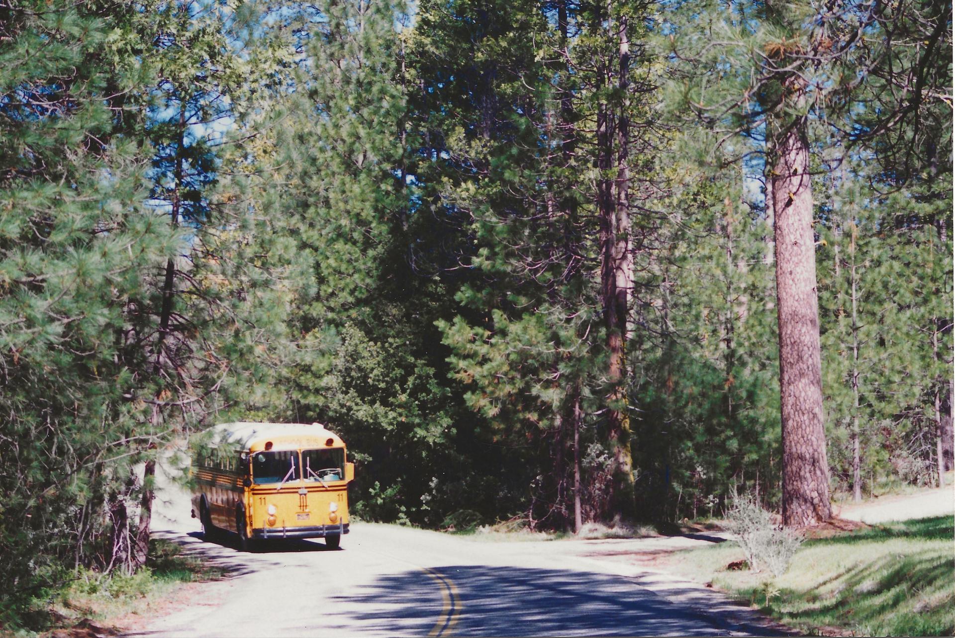 YUSD Bus #11 Landscape
