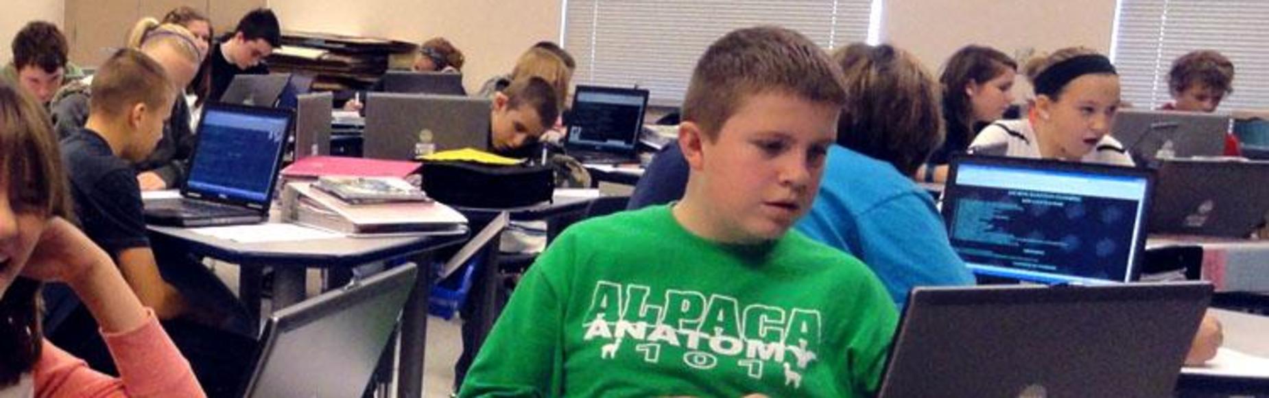Student looking at computer picture