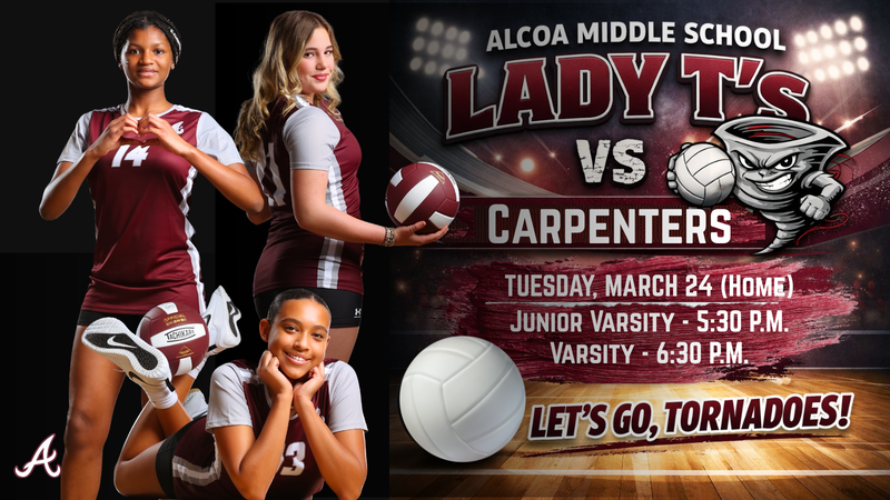 Volleyball Game Home