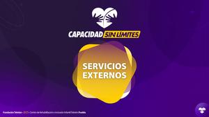 Presentación Servicios Externos  2025 CRIT_page-0004.jpg