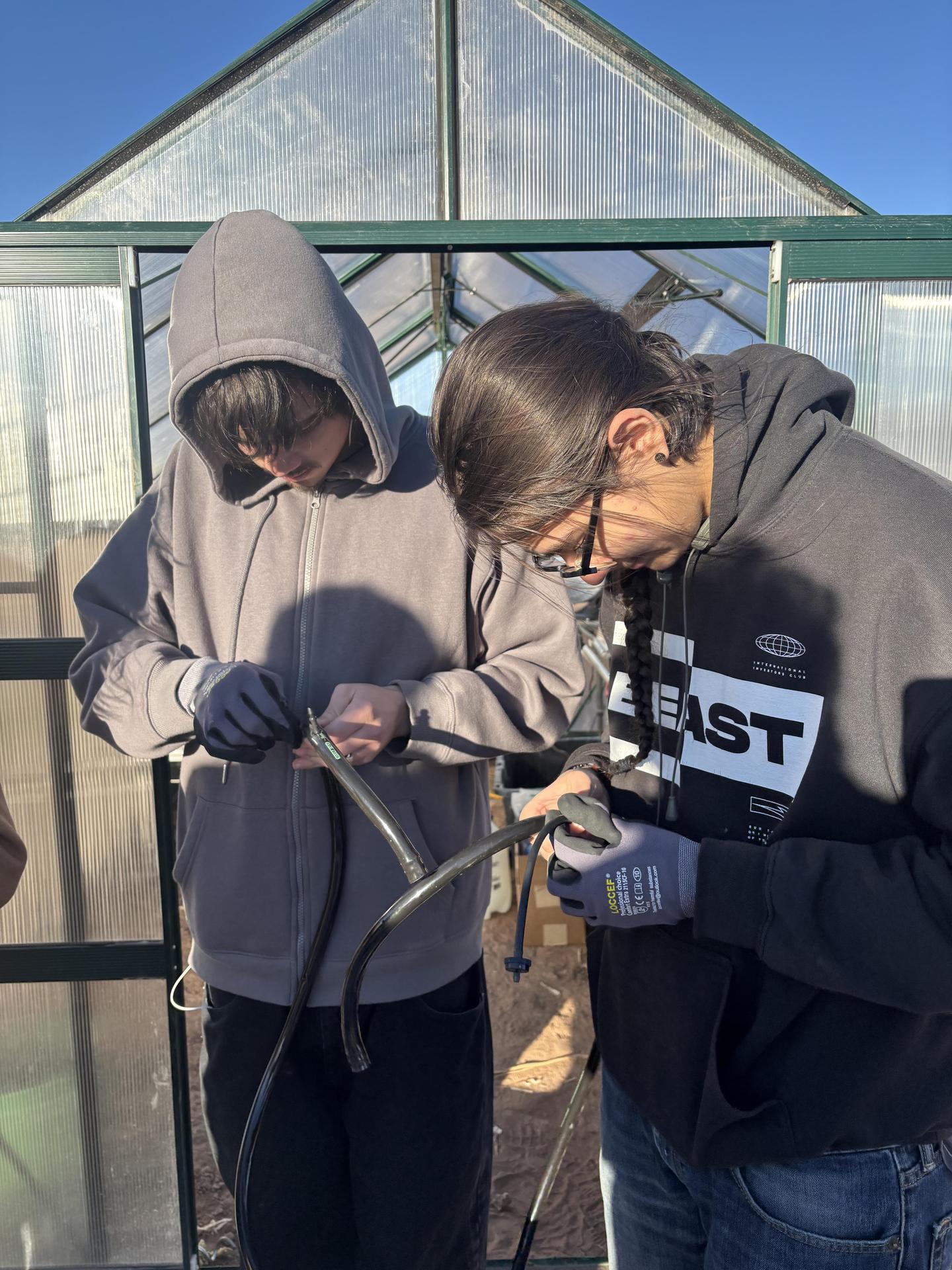 Students work on a project.