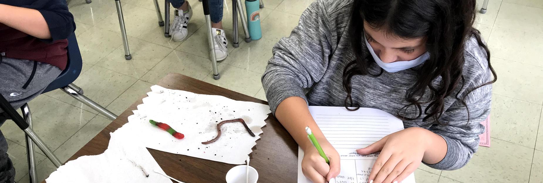 All living things in Mr Leve's class