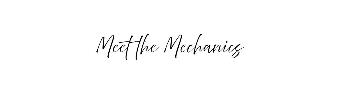 Stylized text reading 'Meet the Mechanics' against a plain white background.