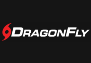 Dragonfly sports logo