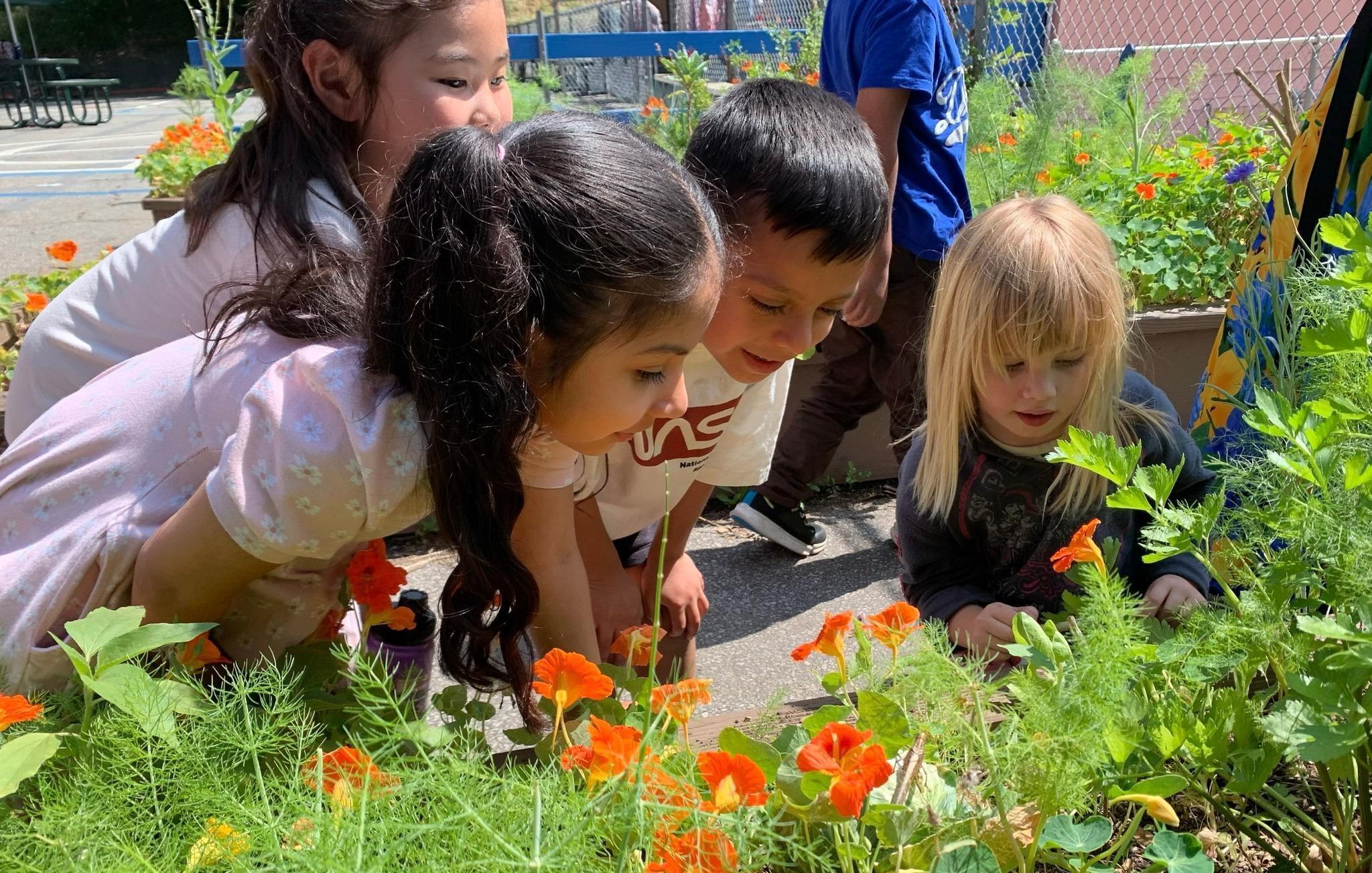 Students are smelling the flowers in our garden,.