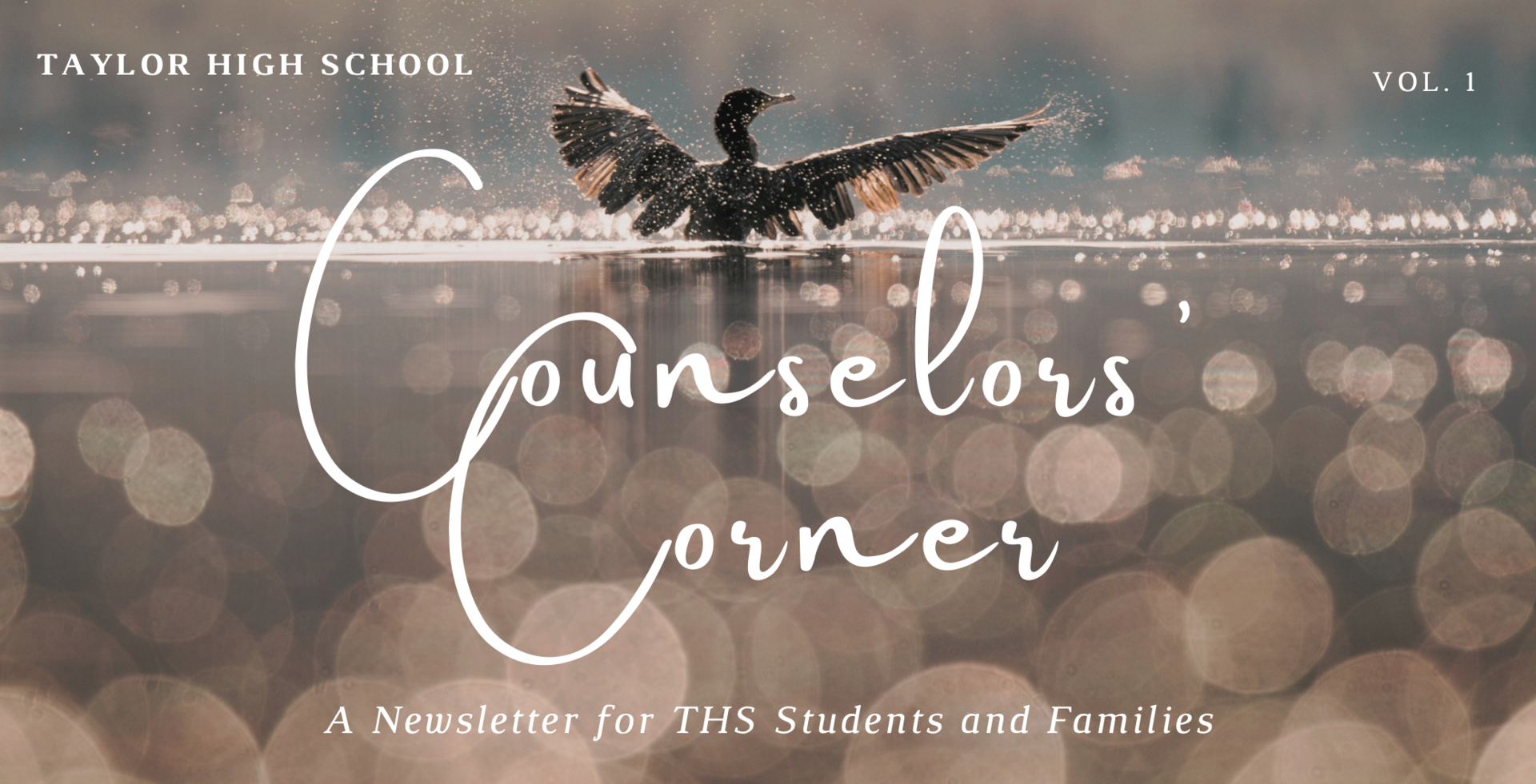 Newsletter