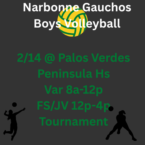 boys volleyball