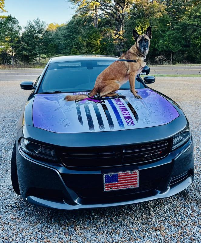 Pike County Sheriff’s Office K9 Sasha Endorses Breast Cancer Awareness Wrap