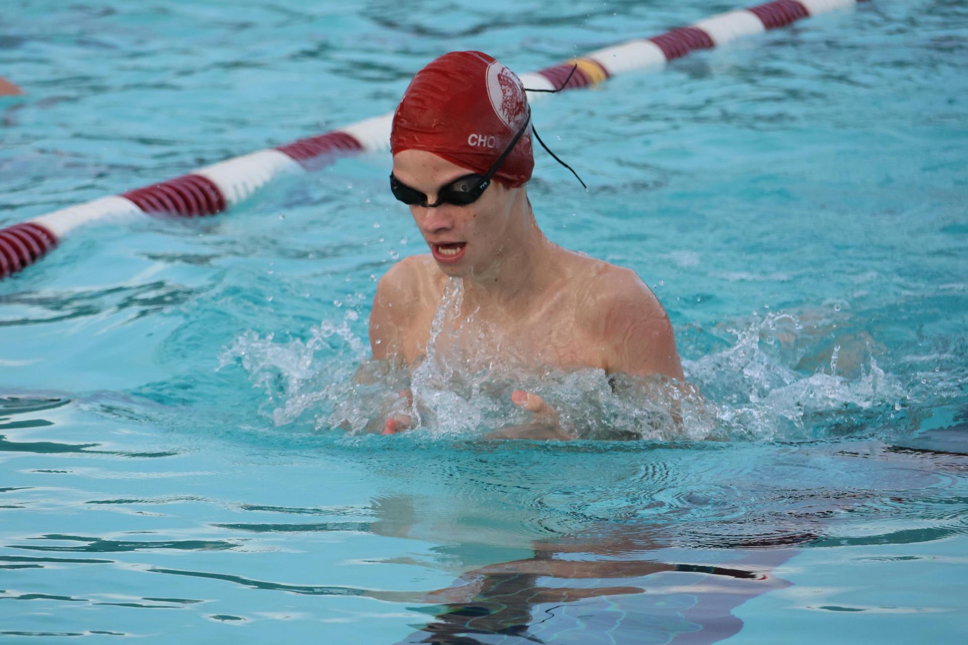 darren trapanese swimming