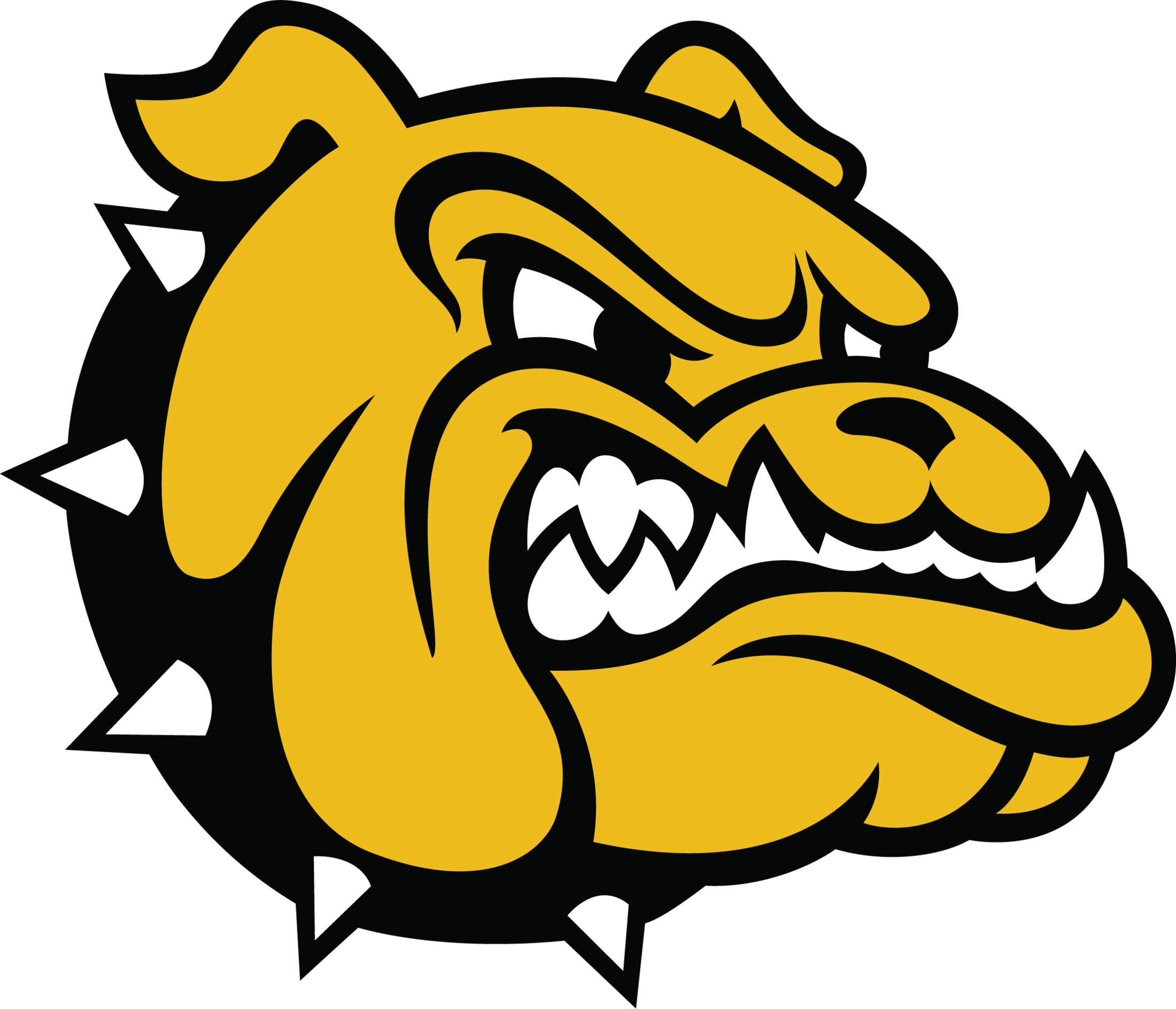 Bulldog