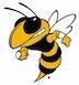 Ferndale Area Bee Mascot image