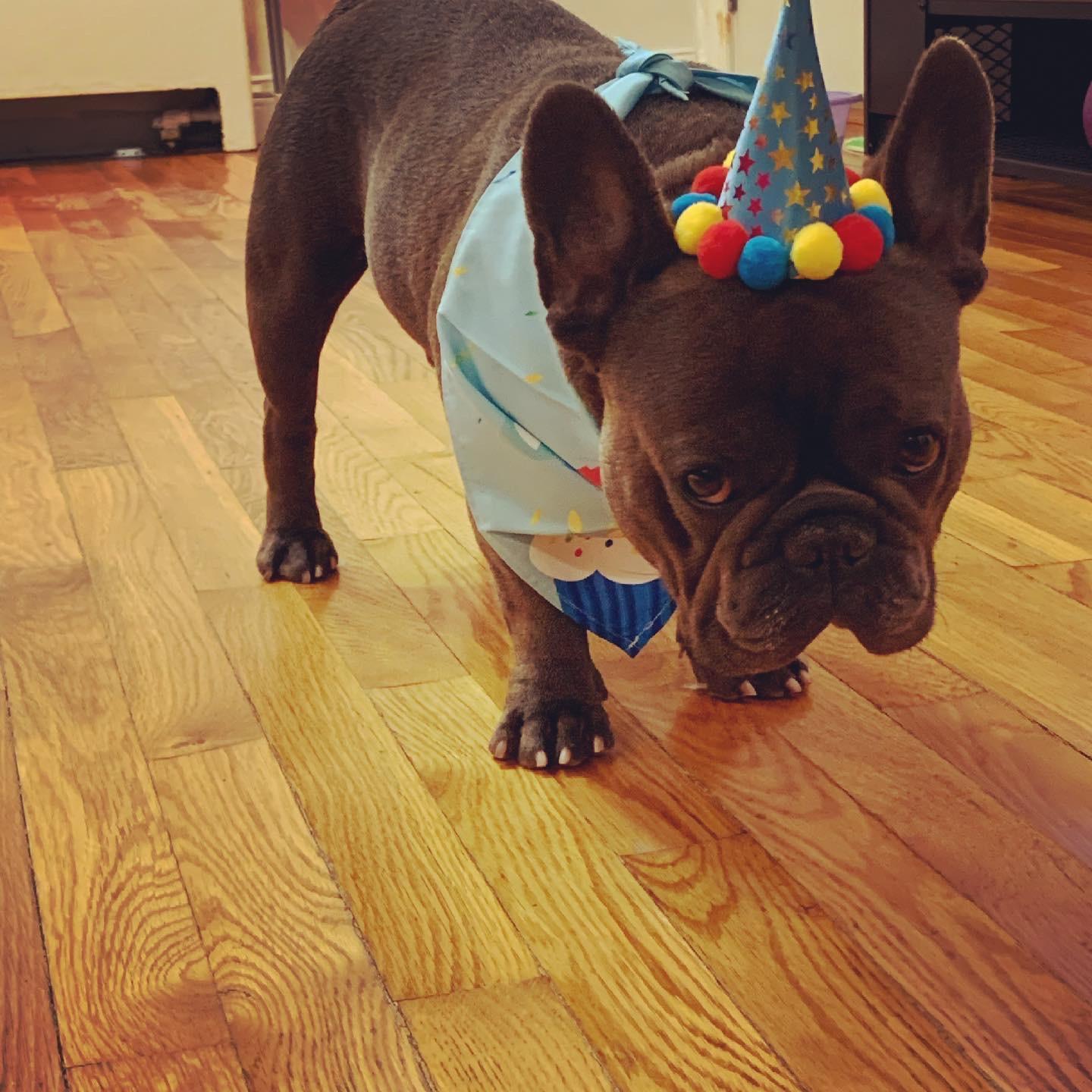 CRISTIANADEVINCENZO's Profile Photo