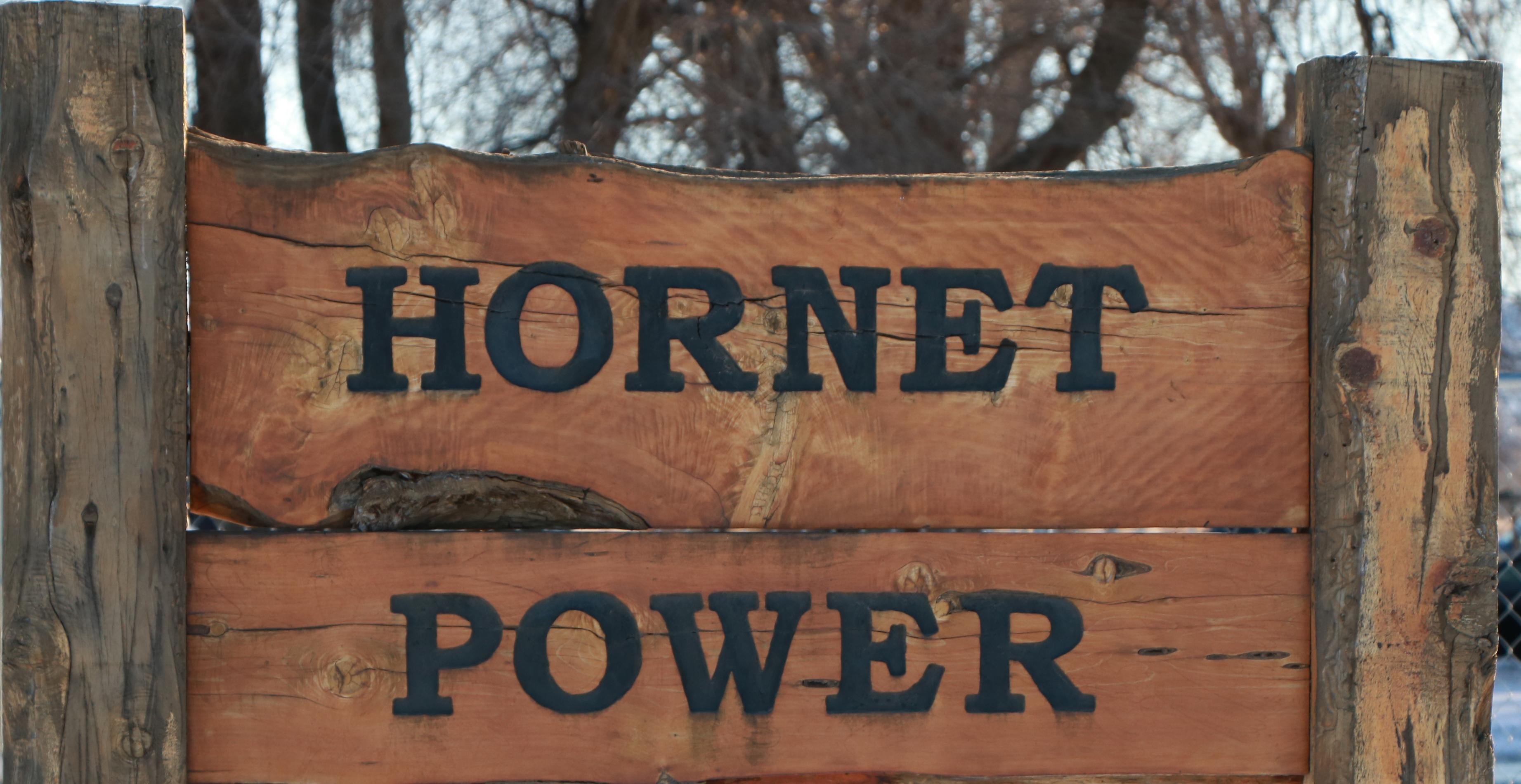 Hornet Power