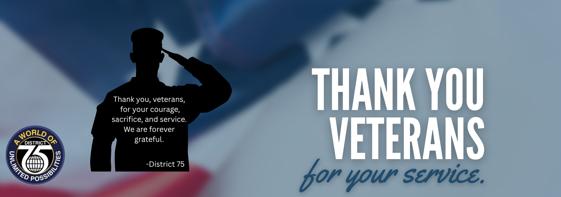 Silhouette of a soldier saluting with a thank you message for veterans.