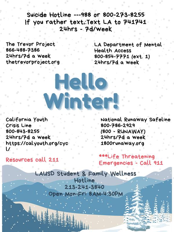 Winter Wellness Flyer