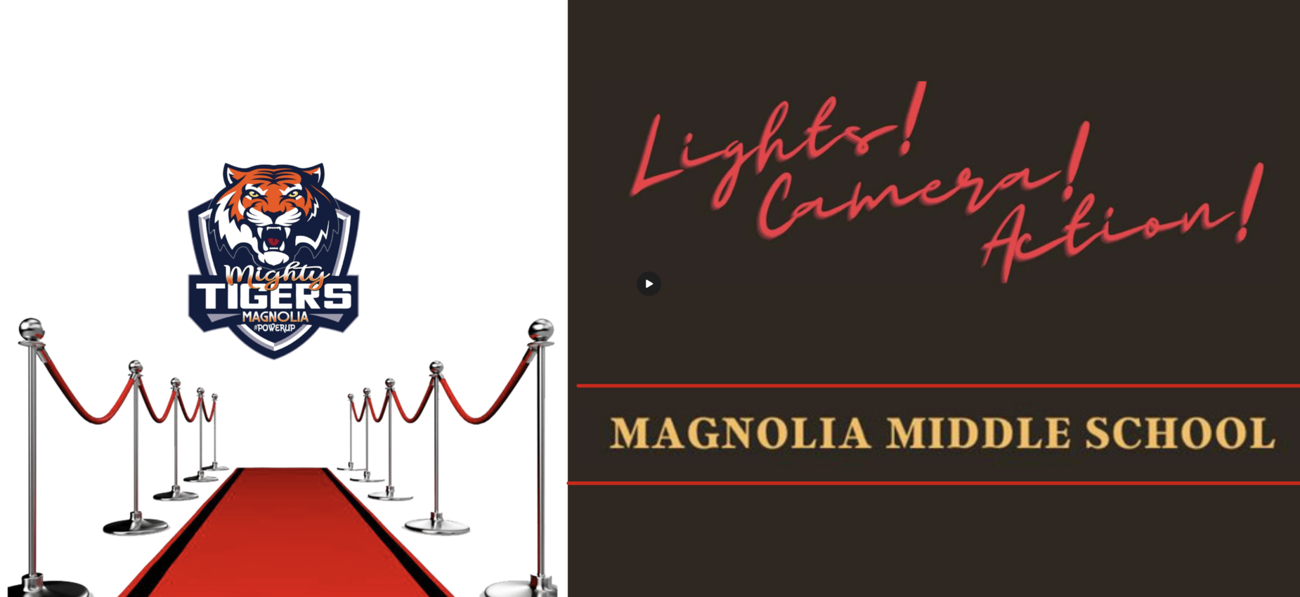 Lights! Camera! Action!