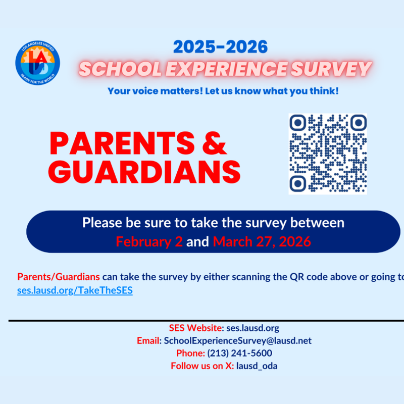 School Experience Survey