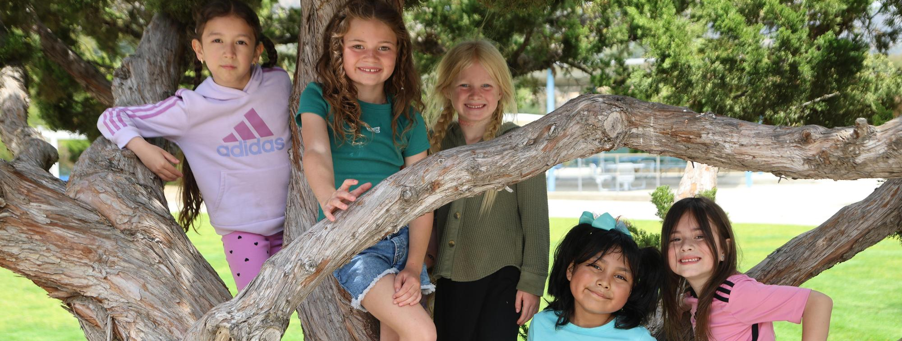 Five children posing together on a tree branch in a sunny park setting.