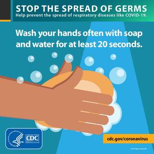 wash your hands