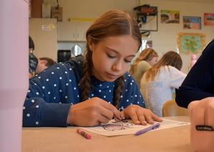 Girl with braids coloring at a desk, focused on her work.