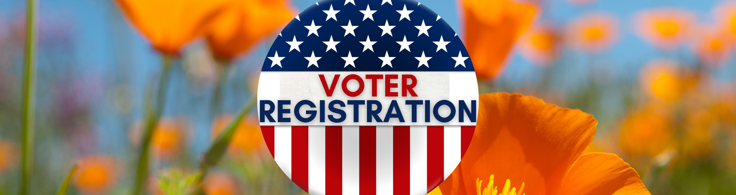 WVOC West Valley Occupational Center wvoc-west-valley-occupational-center