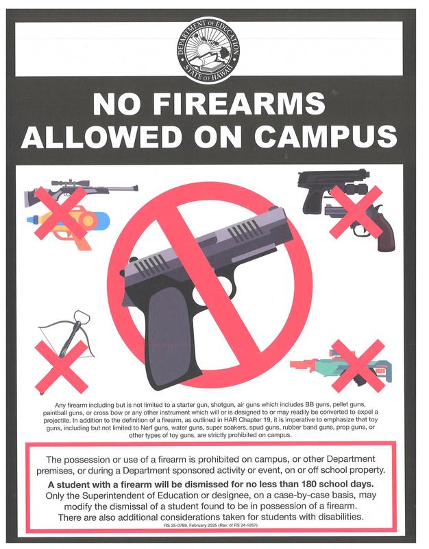 Firearms Image
