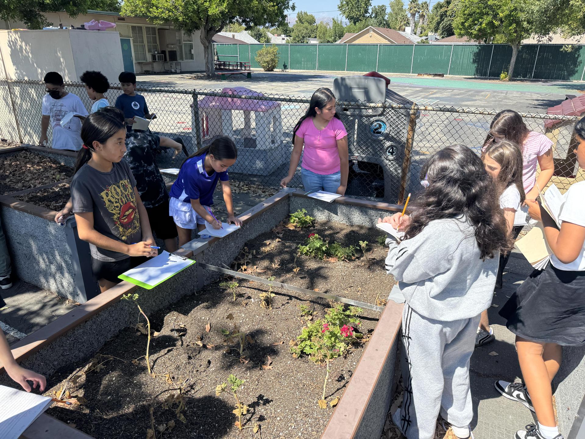 Lorne's Monarch Butterfly Sanctuary Garden