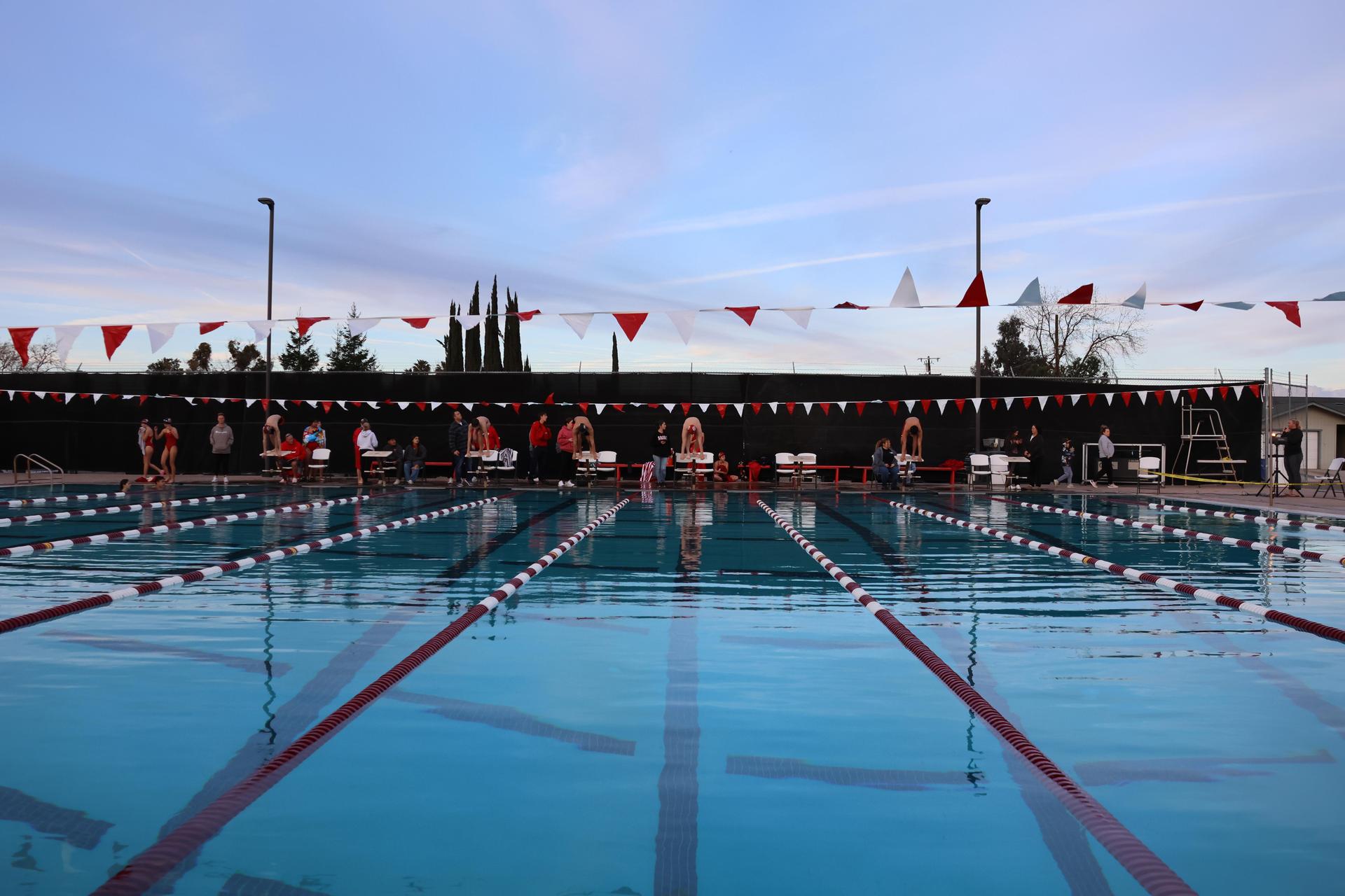 swimmers on the starting blocks